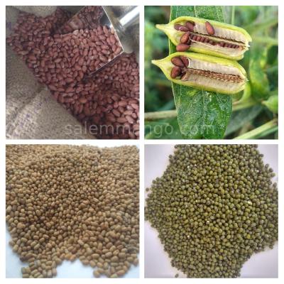 Cereals & Pulses