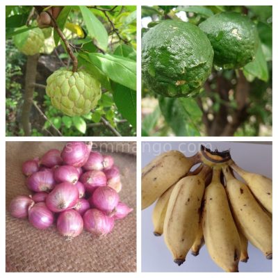 Fruits & Vegetables